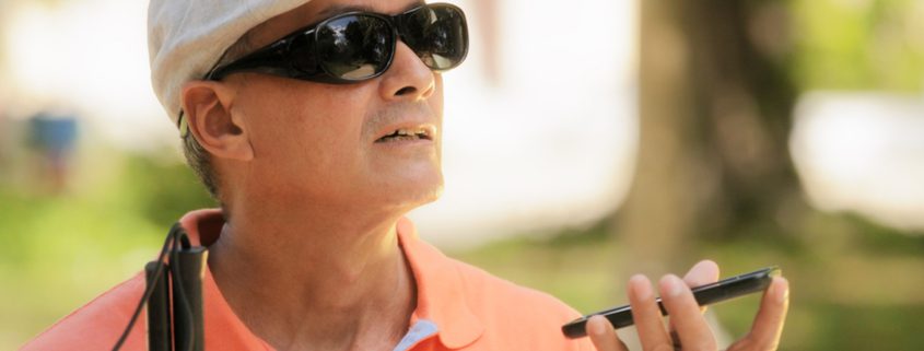 Ley Europea de Accesibilidad